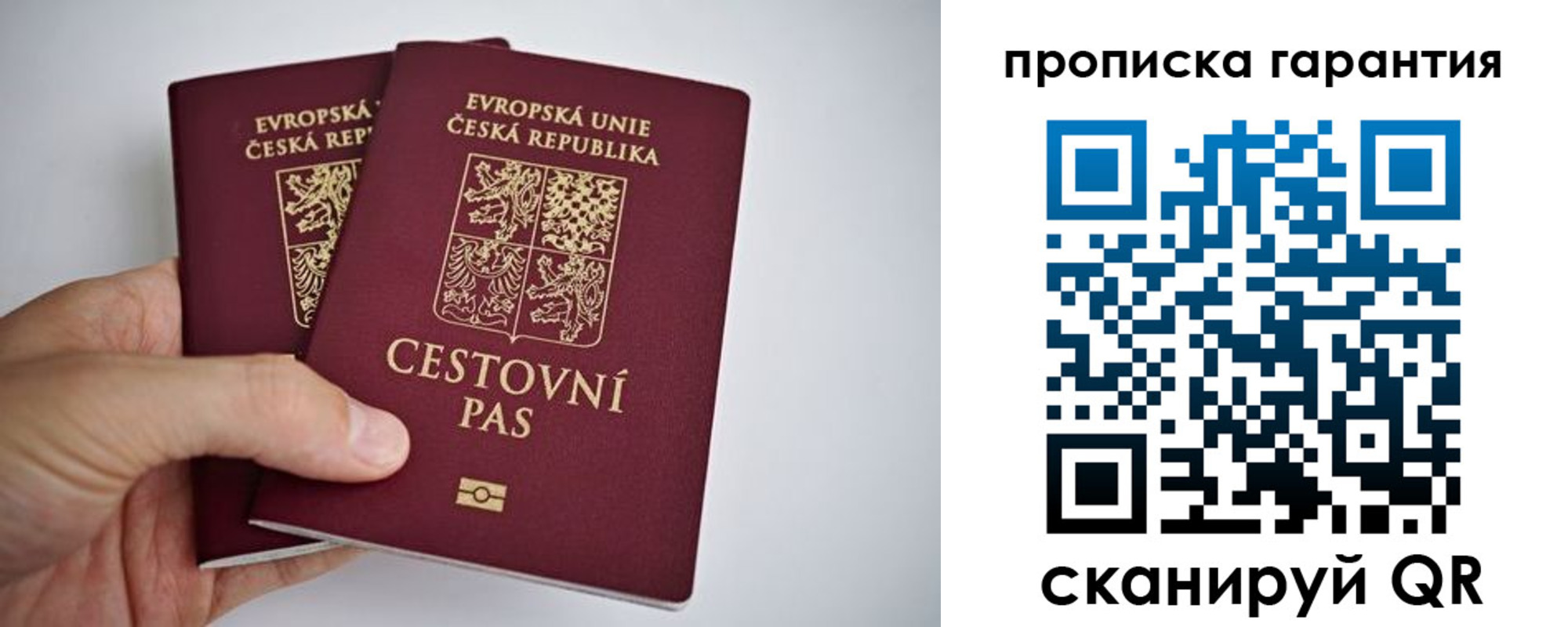 прописка в Краснознаменске